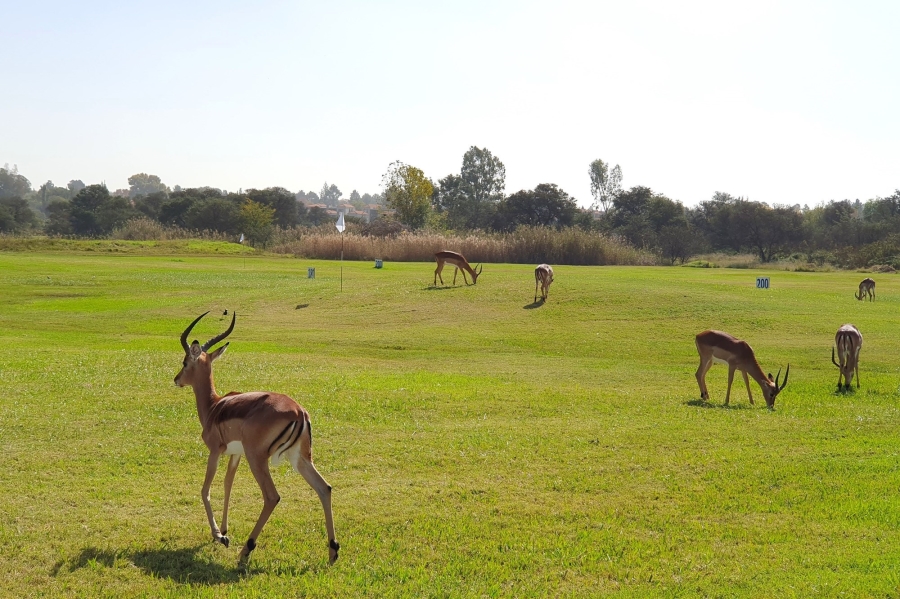 0 Bedroom Property for Sale in Heron Banks Golf Estate Free State